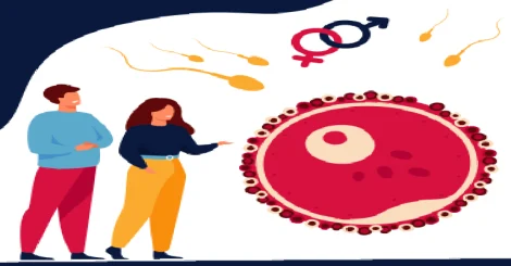 ivf10 Anmol Fertility Clinic & Best IVF centre in jaipur