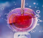 अंडाणु निकालने की प्रक्रिया