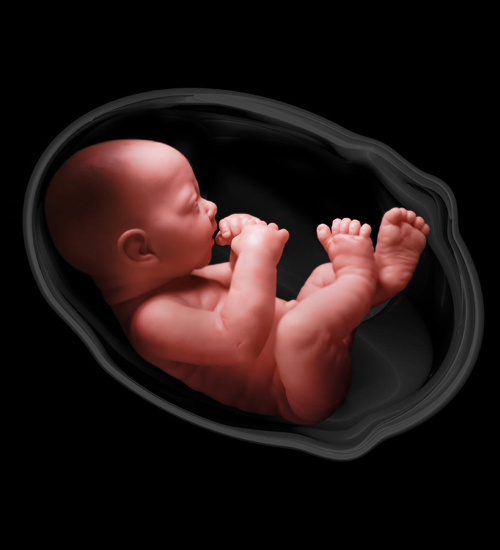 Best IVF Center in Jaipur