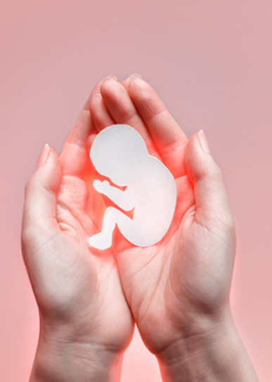 Embryo Donation