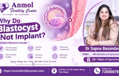 Blastocyst Not Implant