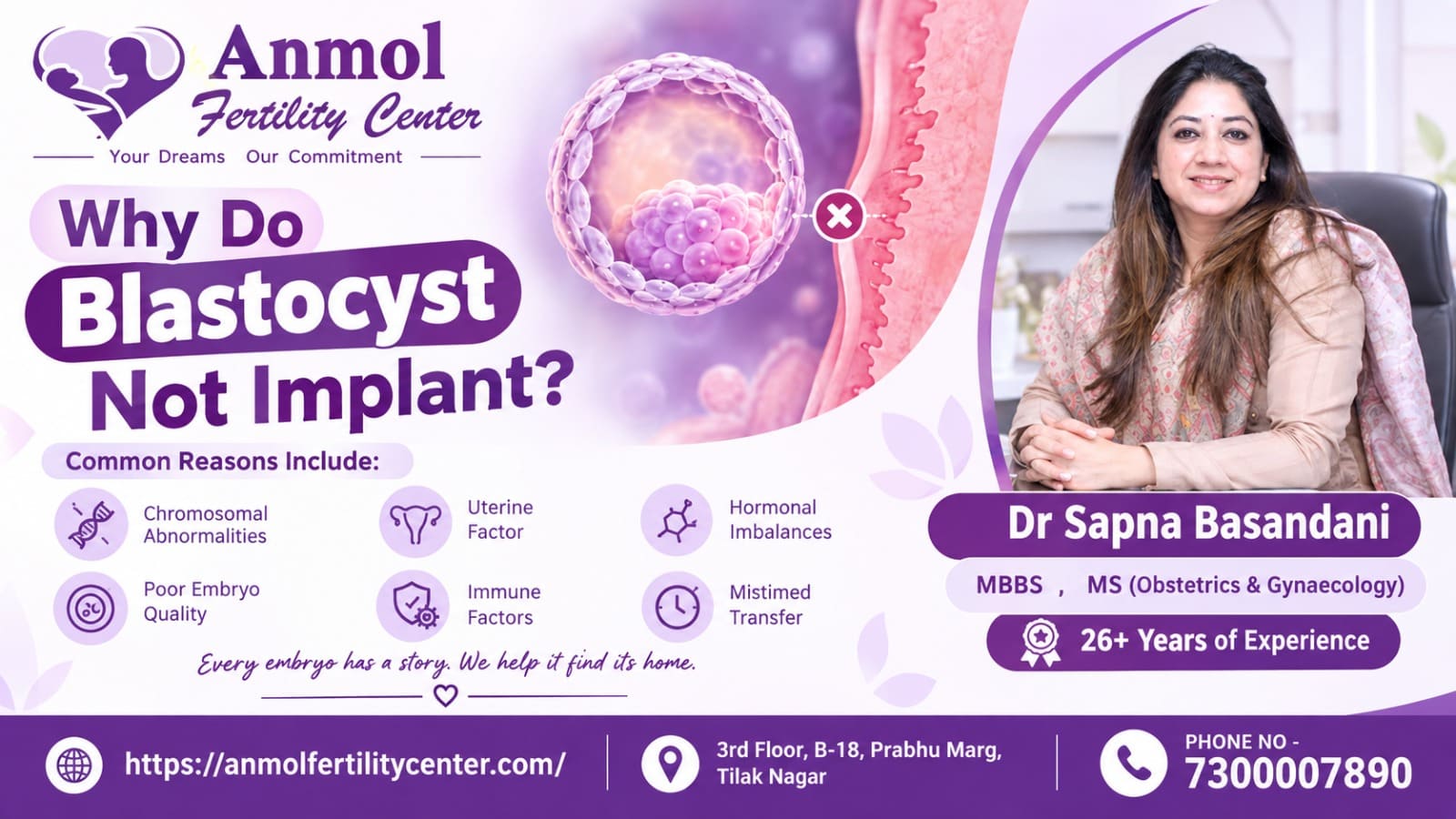 Blastocyst Not Implant