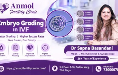 Embryo Grading in IVF