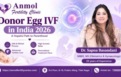 Donor egg IVF